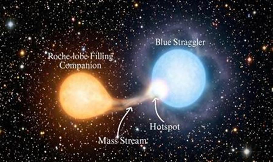 Astronomers discover an actively forming luminous blue straggler star